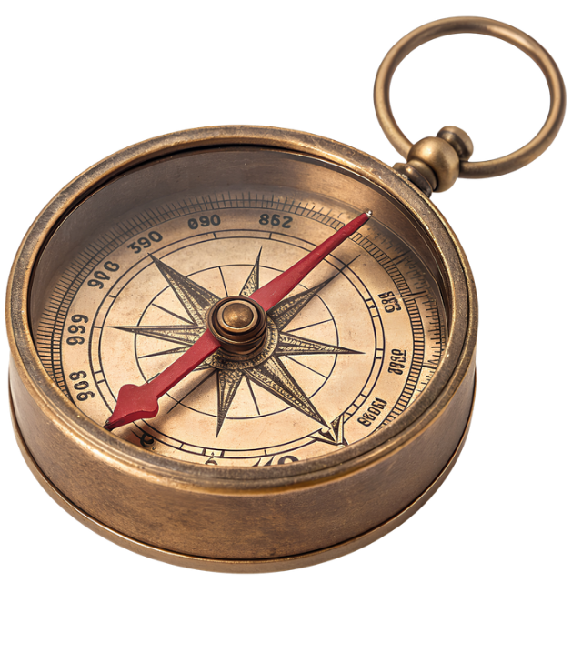 Wealth Warden CFO Tampa Compass